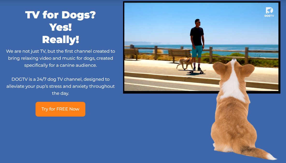 DOGTV free trial